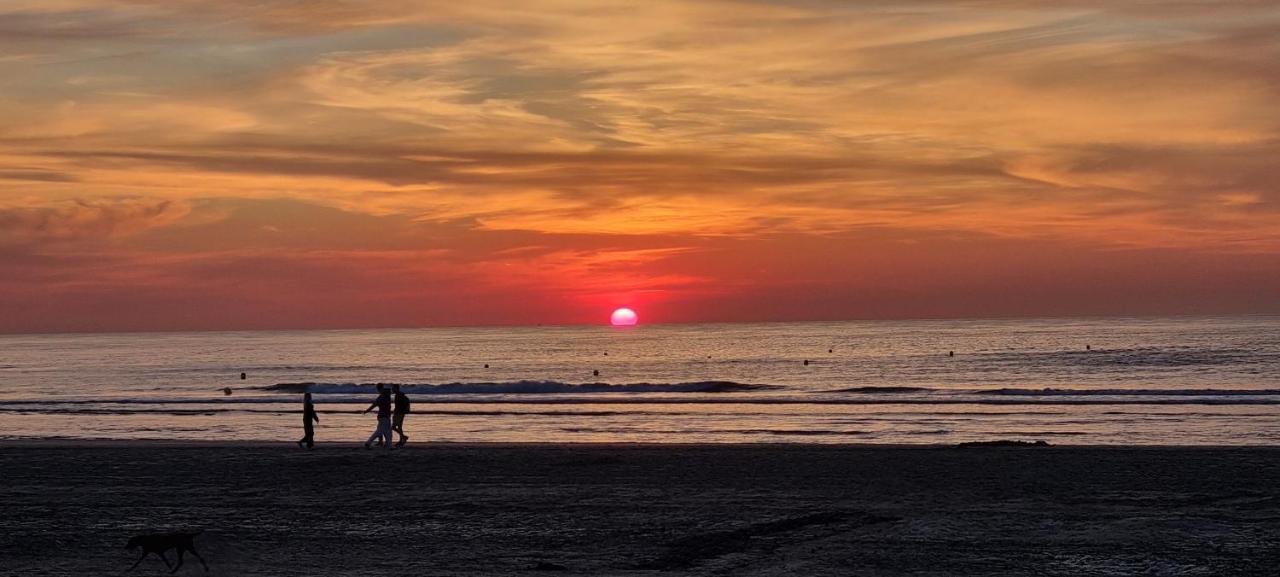 Superbe Studio Avec Une Magnifique Vue Sur La Mer. De Panne Exteriör bild